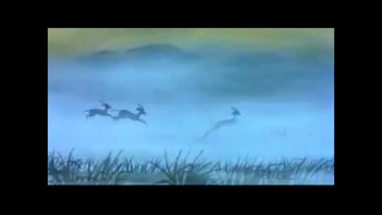 Circle Of Life - The Shambes : Live In A Ballroom Opening