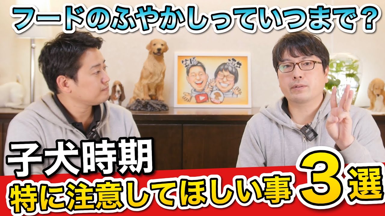 【子犬時期これだけは気を付けてほしいこと3選】をペットショップ店長が解説します！