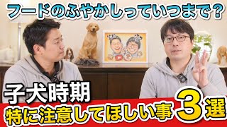 【子犬時期これだけは気を付けてほしいこと3選】をペットショップ店長が解説します！