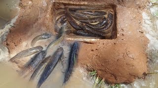 Creative Man Make A Deep Hole Fish Trap To Catch A Lot Of Fish-Primitive Deep Hole Fishing Trap