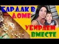 Бардак в доме // Убираем вместе // Как приучить ребенка с РАС к порядку // Победим аутизм