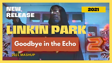 Linkin park - GoodBye in the Echo [UNPOPULAR MASHUP]