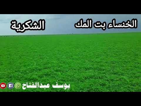 الخنساء بت المك الشكرية