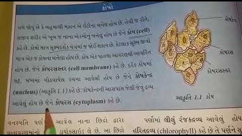 Std 7 science che 1 SHREEMAD DAYANAND KANYA VIDYALAYA ARYASAMAJ JAMNAGAR