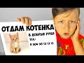 ПАПА не Разрешает КОТЕНКА! СЕНЯ ищет Доброго Хозяина для маленького Котенка! СЕНЯ расстроен
