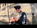 Pesca con Carnada Gigante!! Captura y Cocina En Rio Magico