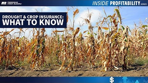 Drought & Crop Insurance: What to Know