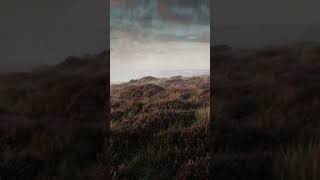 Surviving can also be a sentence | Charlotte Brontë OST #shorts