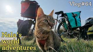 Nala cat camping in CROATIA ❤  VLOG #64