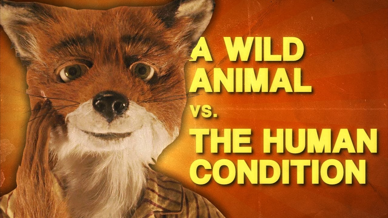 Fantastic Mr Fox Is a Paradox