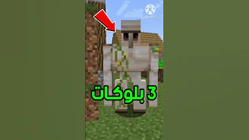 5 معلومات وأسرار ربما لاتعرفها عن الايرون قولم في ماين كرافت Minecraft 