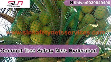 Coconut Tree Safety Nets in Hyderabad
