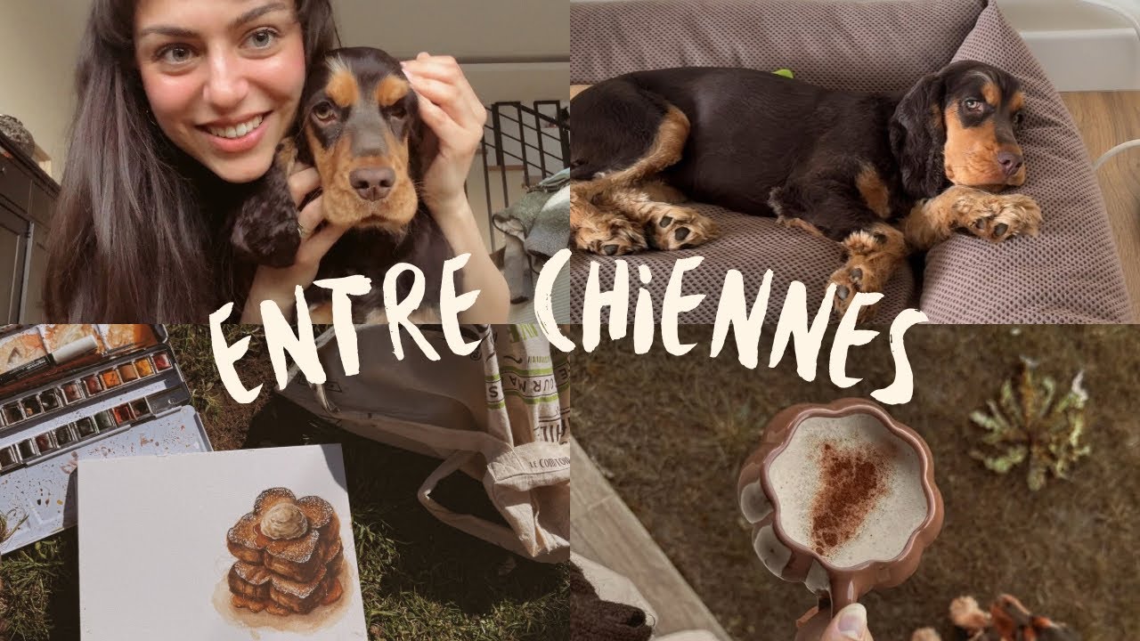 🦴Entre Chiennes | parc, aquarelle & moments paisibles
