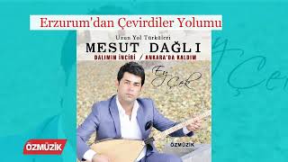 Mesut Dağlı - Erzurum'dan Çevirdiler Yolumu-   Resimi