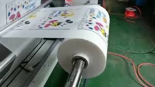 Two color non woven flexo printing machine