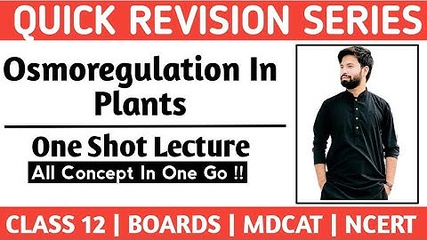 Osmoregulation In Plants | Hydrophytes, Mesophytes And Xerophytes | Class 12