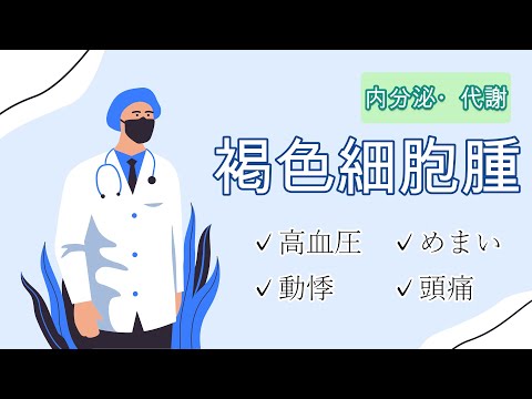 【5分医学】褐色細胞腫/内分泌・代謝