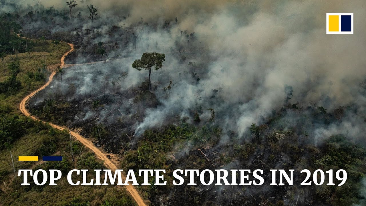 Top Climate and Environment stories of 2019
