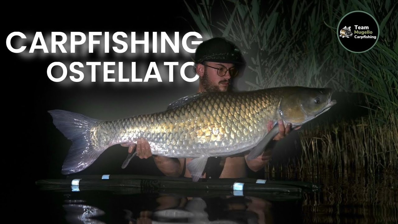 Carpfishing in Canale | Ostellato