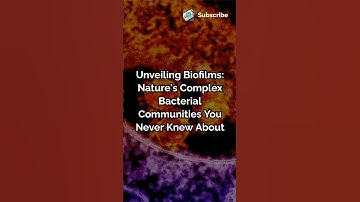 Unveiling Biofilms, Nature