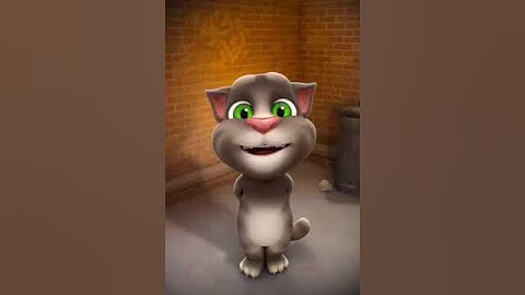 Thumbnail of talking Tom cat movimiento norteño huapango zapatazo