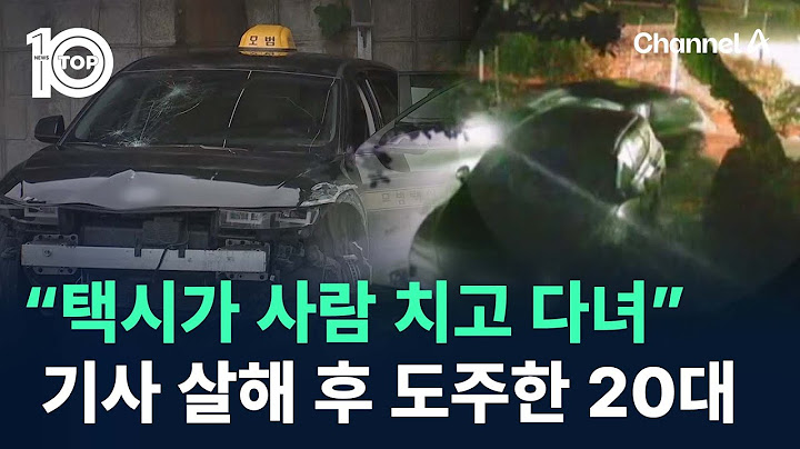 “택시가 사람을 치고 다녀요”…택시기사 살해 후 도주한 20대 / 채널A / 뉴스TOP 10
