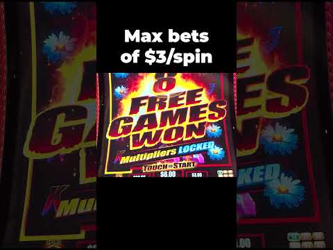 VIP casino online en Mexico | Revisión online casinos