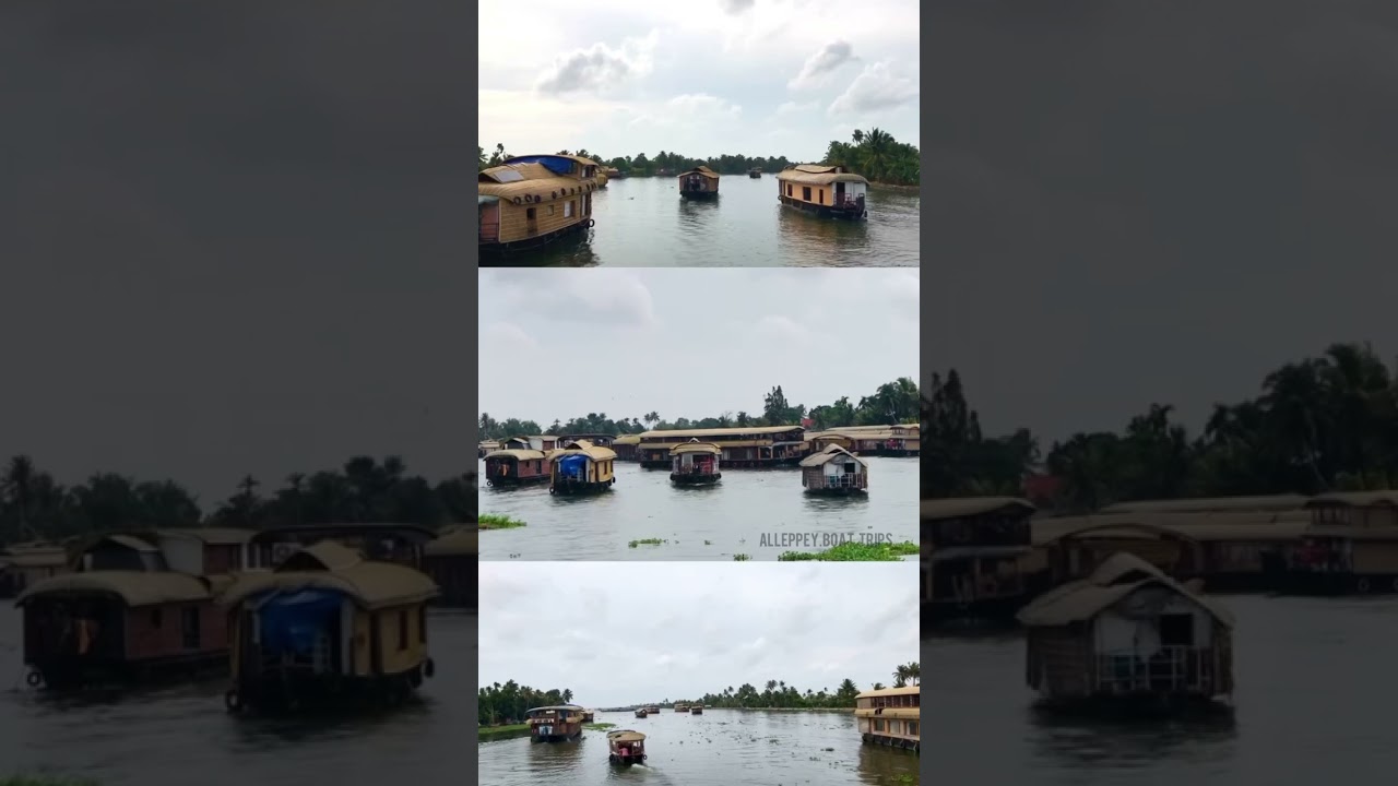 Alleppey The Venice of Nature🍀For house boat booking☎️:9994715406