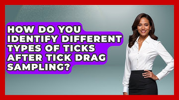 How Do You Identify Different Types Of Ticks After Tick Drag Sampling? - Exploring Campgrounds