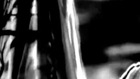 Pankow - Die Beine von Dolores (RK Unofficial video)