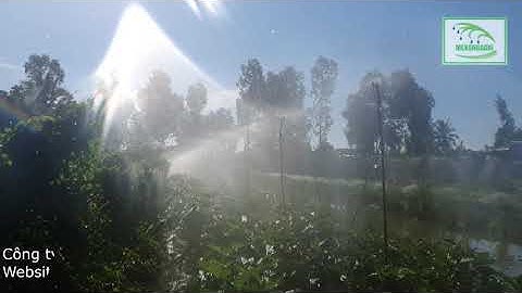 BÉC TƯỚI PHỦ PHÙ HỢP NHẤT TƯỚI ƯỚT TOÀN DIỆN TÍCH HOẶC MẶT LIẾP - BÉC TƯỚI MK 88