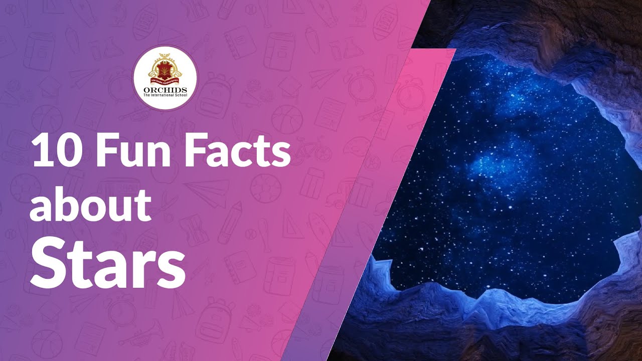 10 Fun Facts About Stars Orchids Thee International School YouTube 10 Fun Facts About Stars Orchids Thee International School YouTube