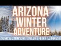 Arizona Winter Road Trip to the White Mountains and Petrified Forest!