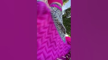 Thumbnail of Bamboleo in Brazil 💃🏻🕺🏻🇧🇷