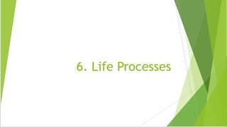 NCERT Class 10 SCIENCE: Ch.6 Life Processes(Downloadable PPT)