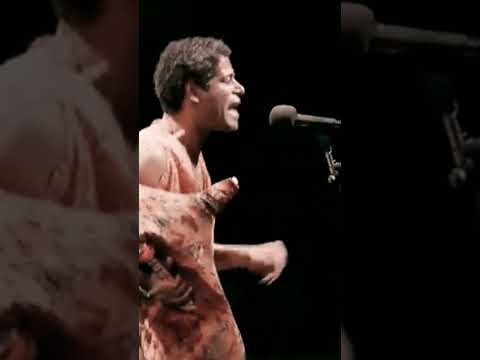 Saeid Shanbehzadeh 360p 