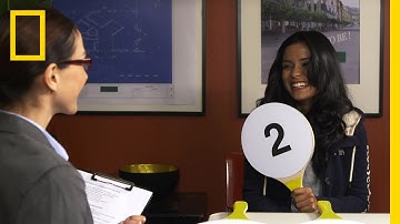 A True Clue | Duck Quacks Don