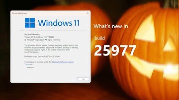 Windows 11 Canary build 25977 and what
