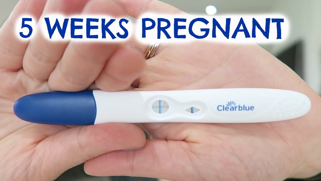 5 Weeks Pregnant Update Emily Norris Youtube