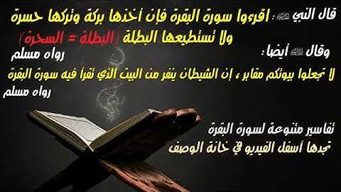 سورة البقره ماجد فاروق