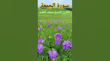 Sheikh Muhammad Al Faqih | Surah Al Jumah | Learn Quran Deeply | سورة الجمعة | القارئ محمد الفقيه
