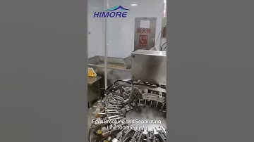 Automatic Eggs Breaking and Separating Yolk Egg White Production Line