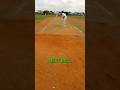 what do you think? #cricket #cricketshorts #cricketlover