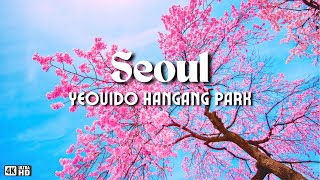 SEOUL Cherry Blossom at Yeouido Hangang Park and Ikseon-dong Hanok Village Tour