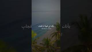 رحلة الحياة