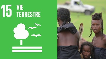 Making the Sustainable Development Goals work for the Lake Chad Basin