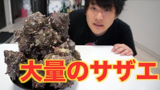 大量のサザエでバター醤油焼を作って食う！！