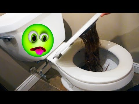she-left-hair-in-my-toilet!