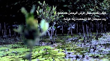 سورة البروج القارئ اليمني : محمد صالح