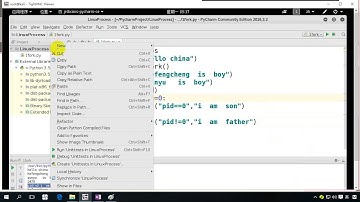 清华 尹成老师 Python基础 3多进程拷贝全局变量